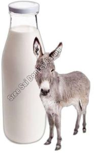 Donkey Milk