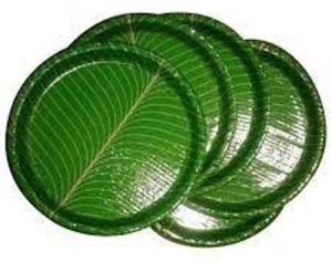 green paper plate