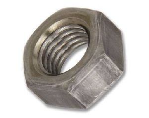 Stainless Steel Nuts