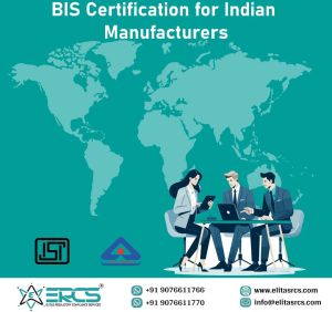 bis certification services