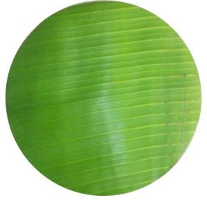 Round shape banana leaf