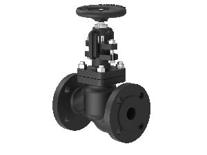 Globe Steam Stop Valve