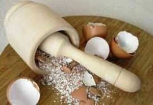 Organic Egg Shell Powder