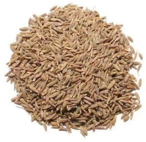 Cumin Seeds