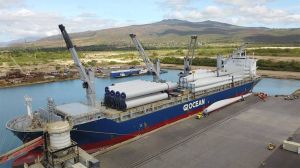 Break-Bulk Cargo Handling Service