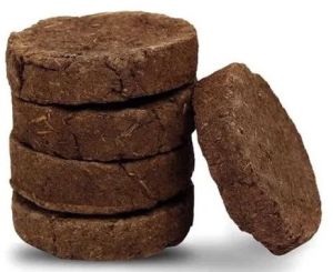 Cow Dung Cake