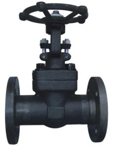 Forged Steel Gate Valve