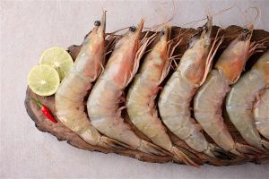 Ocen White prawns