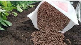 Phosphate Rich Organic Manure