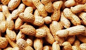 Groundnuts