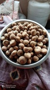 areca nut