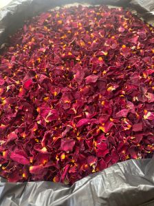 Dry Rose Petals