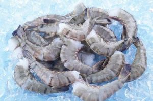 Frozen Black Tiger Shrimp