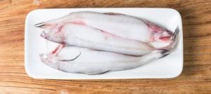 Frozen Bombay Duck Fish