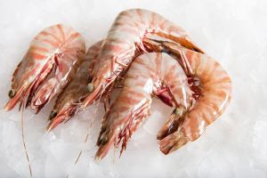 Frozen Sea Tiger Shrimp