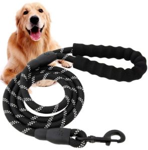 Black Dog leash