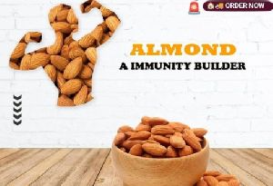 Kashmiri Mamra almonds