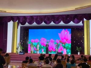 Led Video Display