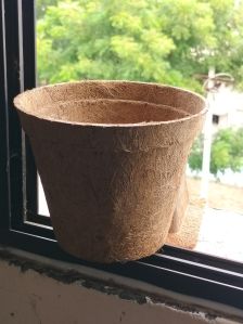 Coir Pot