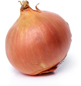 Onion