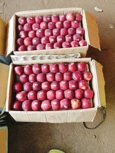 dried apples