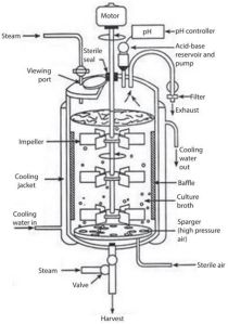 Bioreactor