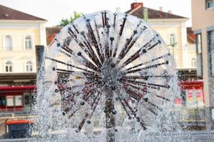 Dandelion Water Fountain