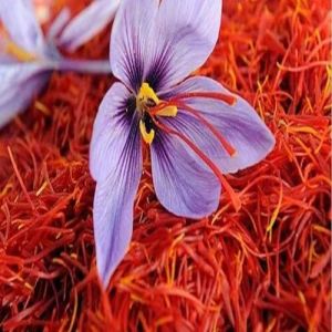 kashmiri Saffron