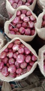 Nashik Red Onion