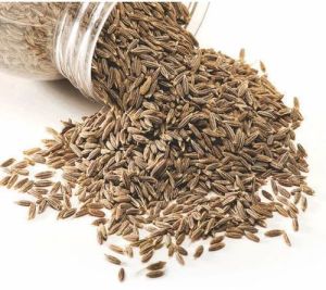 Dried Cumin Seeds