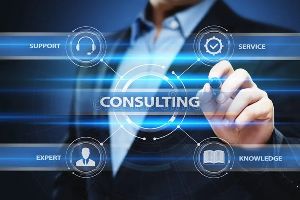 Franchise consultant experts