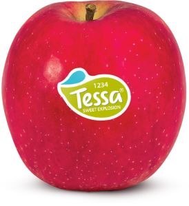 Apple Tessa