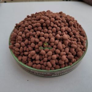 Potash Mobilizing Bacteria Biofertilizer