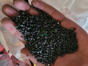 Zyme Granulated Organic Manure