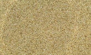 Brown top millet - Unpolished