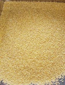 Foxtail millet rice - unpolished