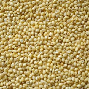 Proso millet - Unpolished