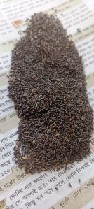 dried tukh malanga seed