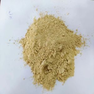 Dry Ginger Powder