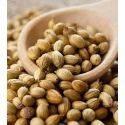 Organic Coriander Seed