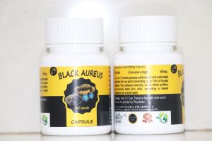 Black Turmeric