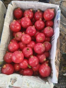 arbuda fresh pomegranate