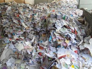 Waste Paper