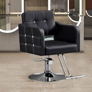 Salon Hydraulic Chair