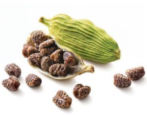 Cardamom Seeds