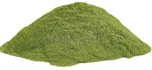 Moringa Leaves Powder