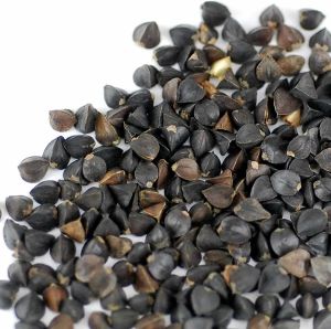 Black Buckwheat Seeds