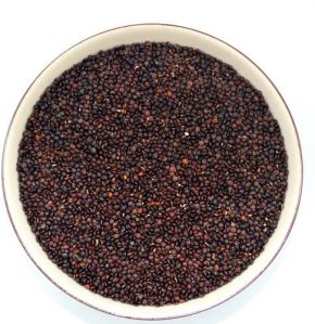 Organic Black Quinoa Seeds