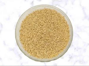 Organic Yellow Quinoa Seeds