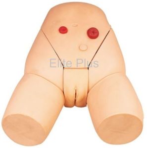 Female Catheterization Training Simulator